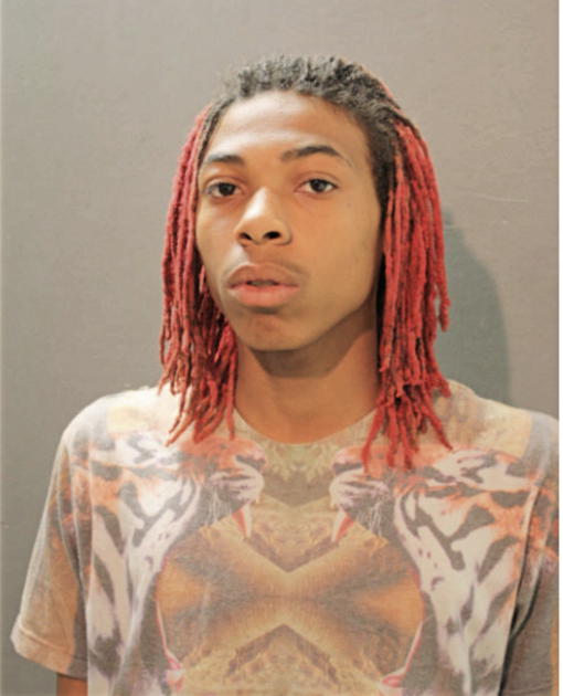 HASUNI AMEUR SHAKUR YOUNG, Cook County, Illinois