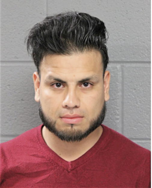 GABRIEL ALEMAN, Cook County, Illinois