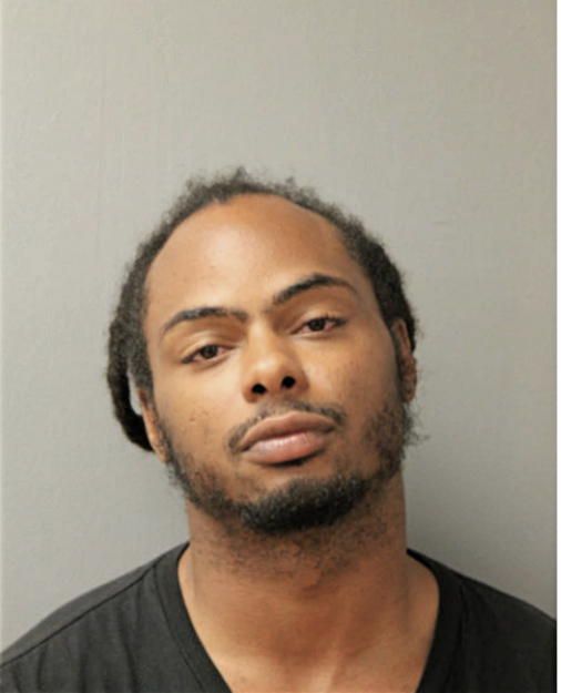 JUSTIN C ANDERSON, Cook County, Illinois