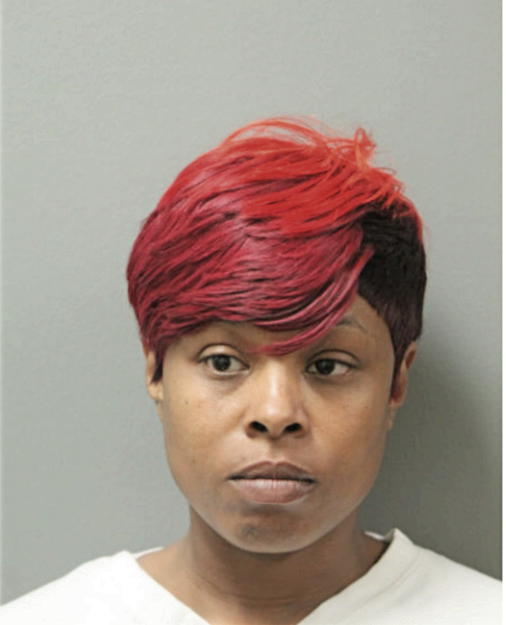 FATIYYAH L BIGBY, Cook County, Illinois