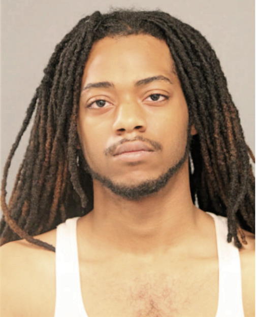 DALVIN D BROWN, Cook County, Illinois