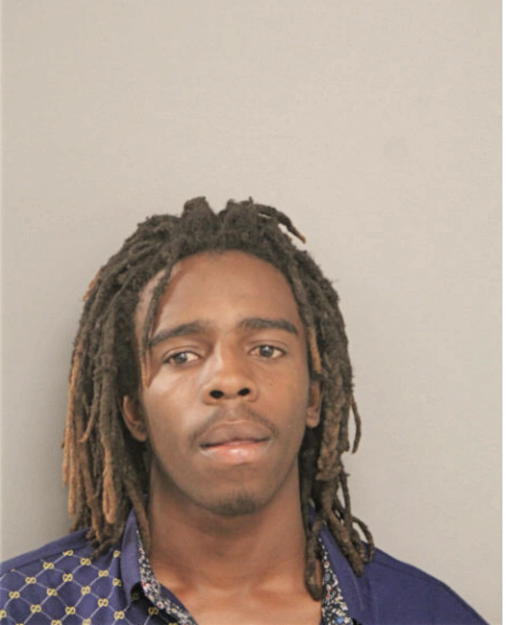 DION I BROWN, Cook County, Illinois