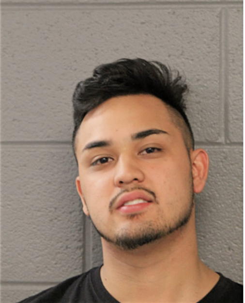 ANTHONY ANSEL CHAPARRO, Cook County, Illinois