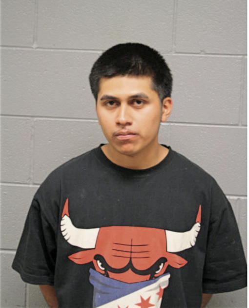 JAIME A DELGADO, Cook County, Illinois