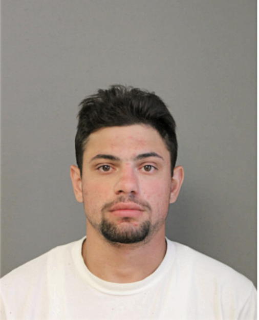 FRANK S ELY, Cook County, Illinois