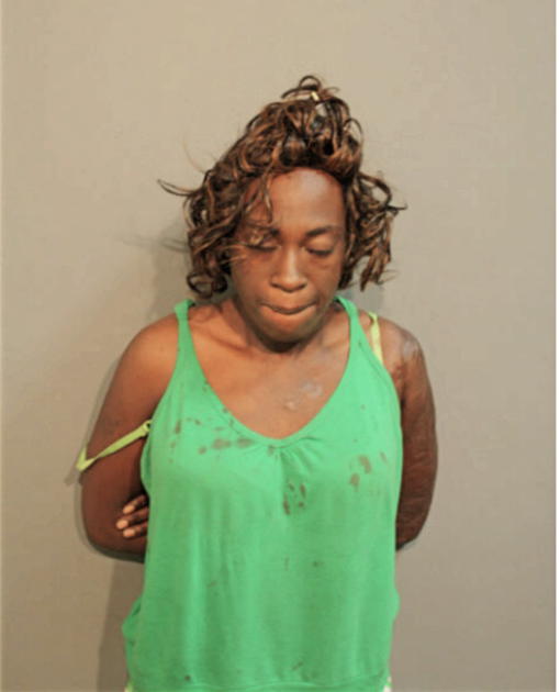 YASMINE M FELIX, Cook County, Illinois