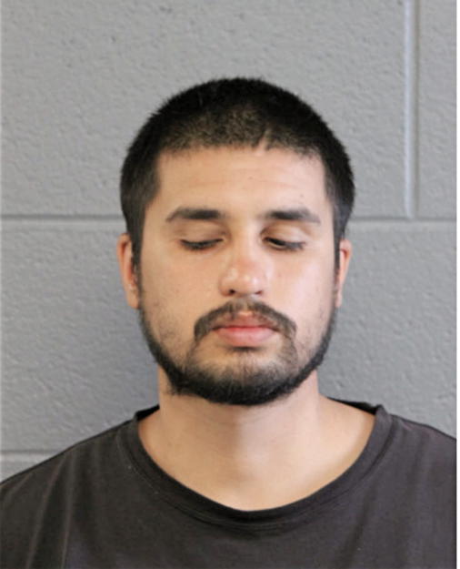 VICENTE FERNANDEZ, Cook County, Illinois