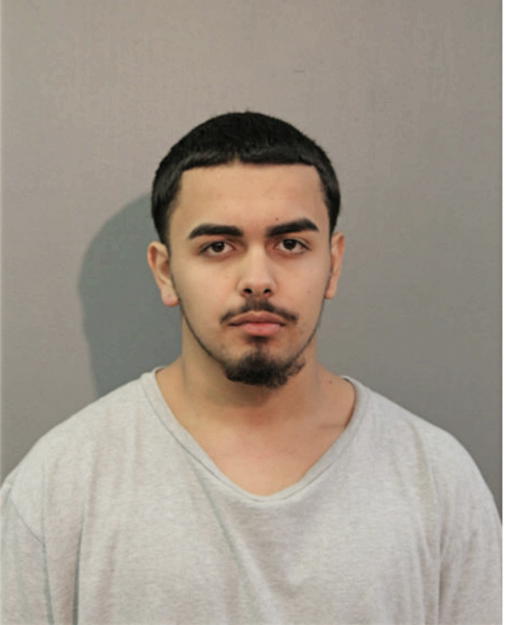 GERARDO FLORES, Cook County, Illinois