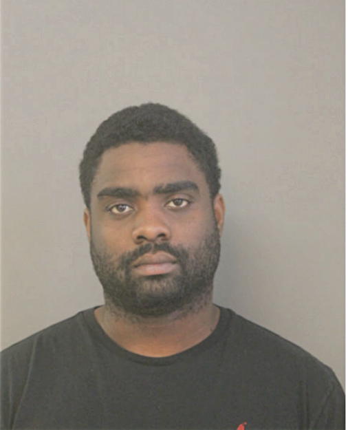 DAVID W FOSTON, Cook County, Illinois