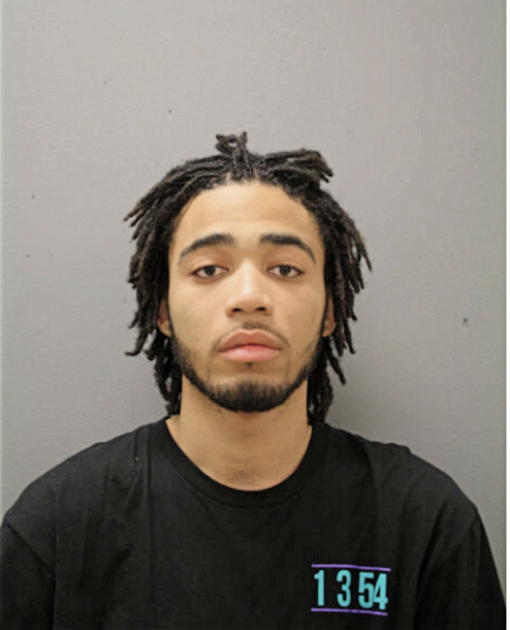 DESHAWN T GANDY, Cook County, Illinois