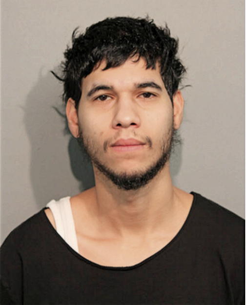JOSE L GONZALEZ, Cook County, Illinois