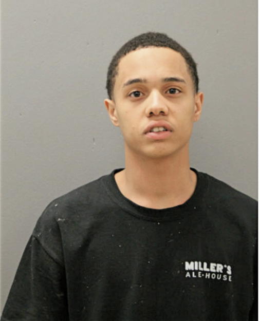 TERRY R JOHNSON, Cook County, Illinois