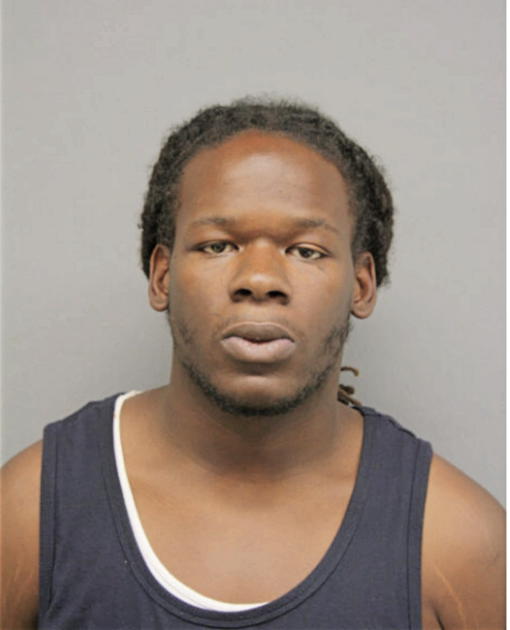 ROBERT L JONES, Cook County, Illinois
