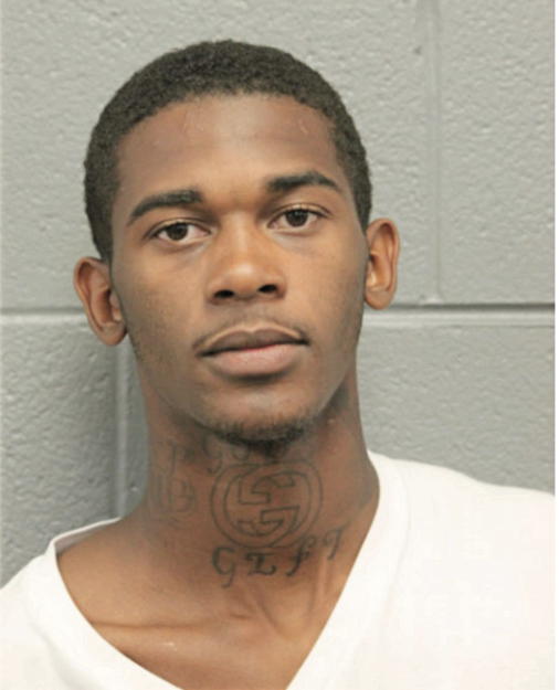 TION T LEWIS, Cook County, Illinois