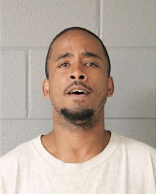 DANIEL L LIGON, Cook County, Illinois