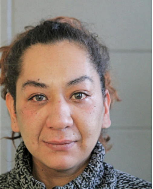 HANADI MAHMOUD, Cook County, Illinois