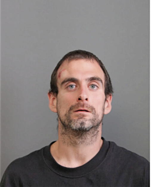 MICHAEL T MANGAN, Cook County, Illinois