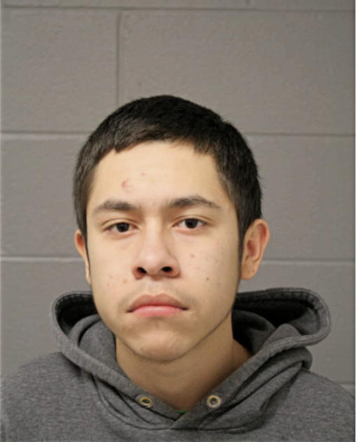 IVAN MEDINA, Cook County, Illinois
