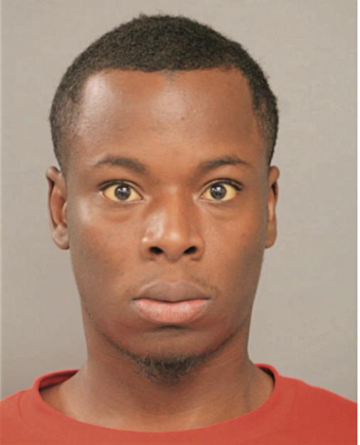 DIONTE J MONTGOMERY, Cook County, Illinois