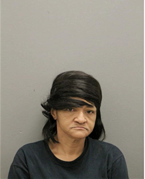 CYNTHIA A NELSON, Cook County, Illinois