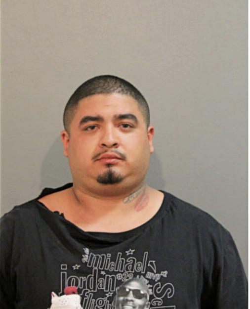 NICHOLAS M ORTEGA, Cook County, Illinois