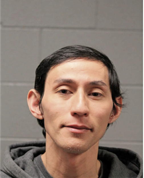 RICHARD A PINGAD, Cook County, Illinois