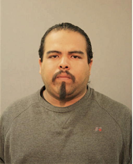 HUGO E RUIZ, Cook County, Illinois