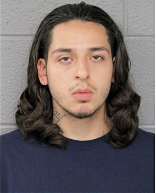 NIKOLAS J SCHULER, Cook County, Illinois