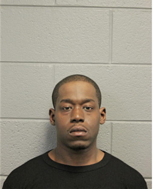 ANDREW P SECTION, Cook County, Illinois
