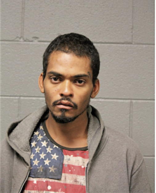 TYRIN W SKAGGS, Cook County, Illinois
