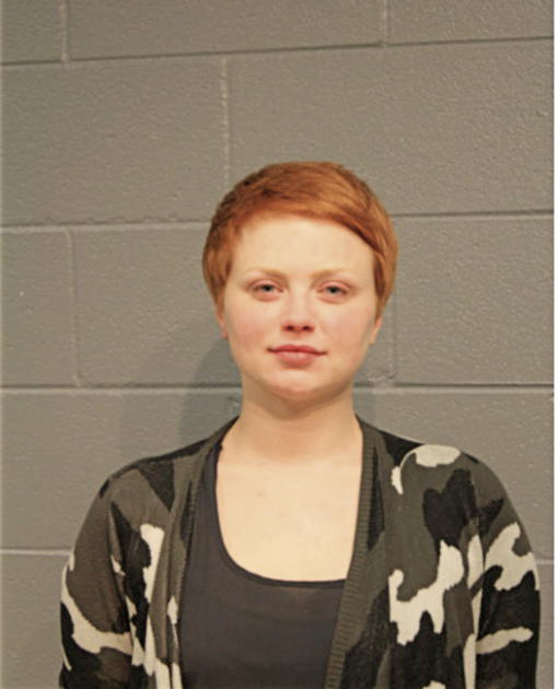 SHANNON L SPIALEK, Cook County, Illinois