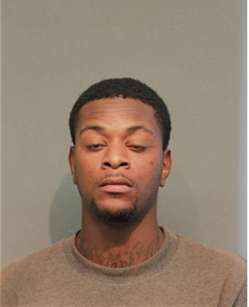 WILLIE L WATKINS, Cook County, Illinois