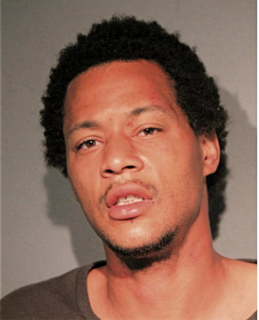 SCOTT A ZIEGLER, Cook County, Illinois