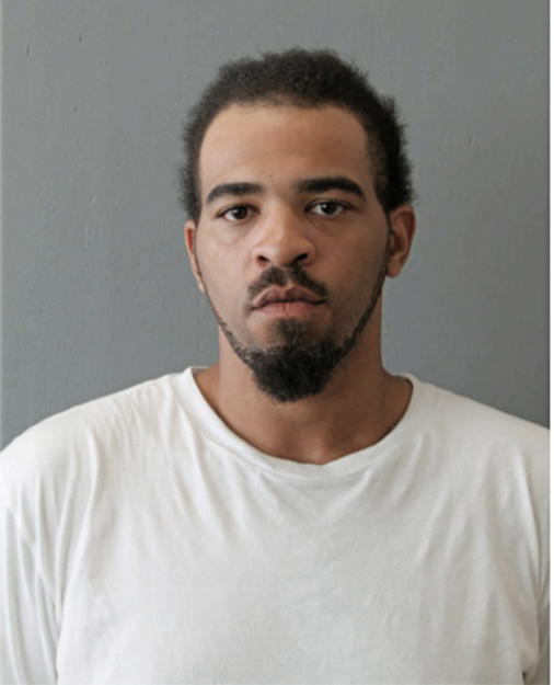 LEVIASSE J ANDERSON, Cook County, Illinois