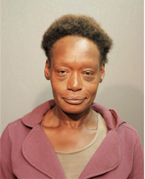 RACHELLE J CHAMBERS, Cook County, Illinois
