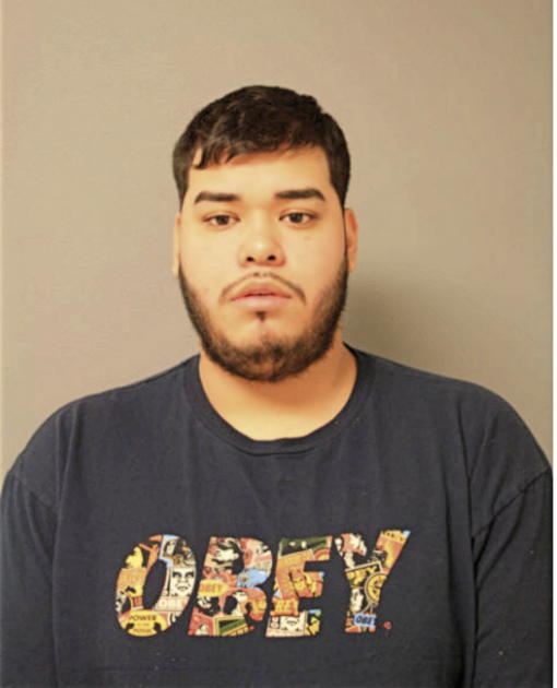 MARTIN DELGADO, Cook County, Illinois
