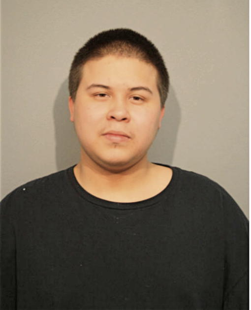 BRANDON L DZIUBANEK, Cook County, Illinois