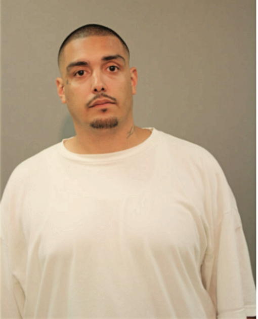DAVID JESUS ELDEFONSO, Cook County, Illinois