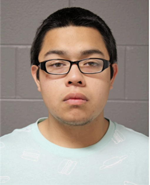 GUILLERMO A FLORES, Cook County, Illinois