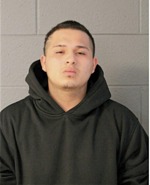 JOSE G GONZALEZ, Cook County, Illinois