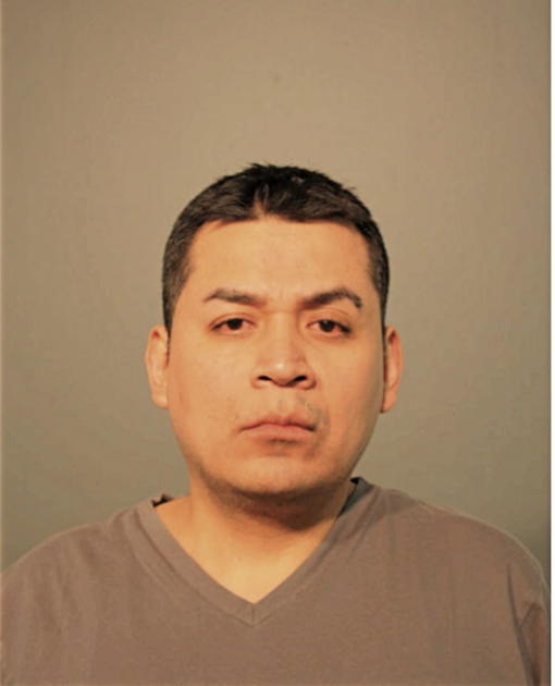 JORGE A HERNANDEZ, Cook County, Illinois