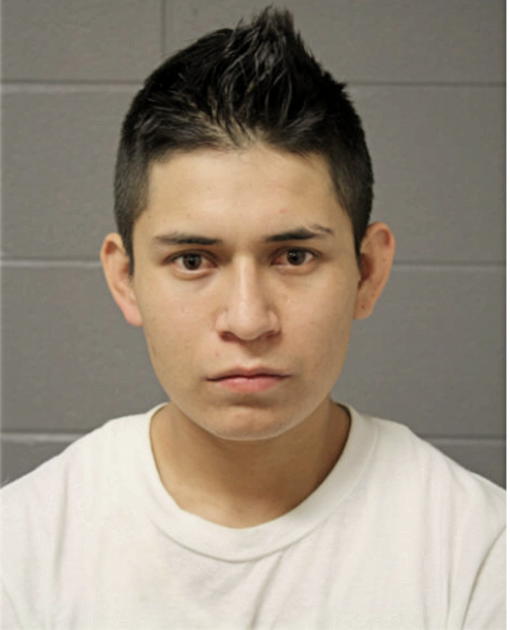 ALVARO M HILARIO, Cook County, Illinois