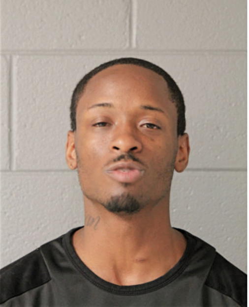 BRIAN HUNT, Cook County, Illinois