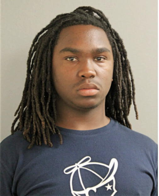 JUSTIN JOHNSON, Cook County, Illinois