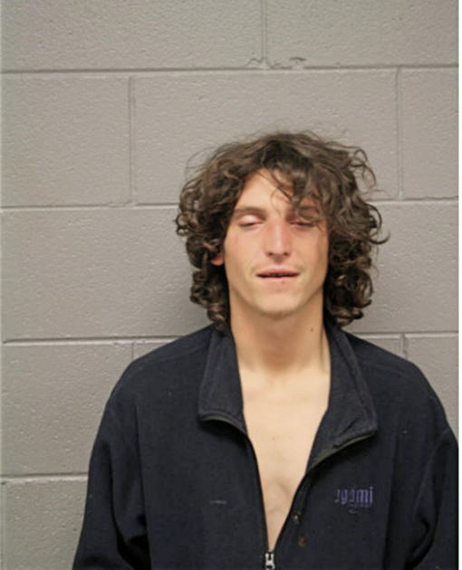 DEREK S JOHNSTON, Cook County, Illinois