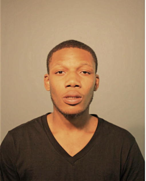 MICHAEL S LEWIS, Cook County, Illinois