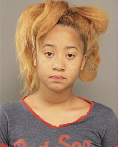 TYTIANNA L M WEBSTER, Cook County, Illinois