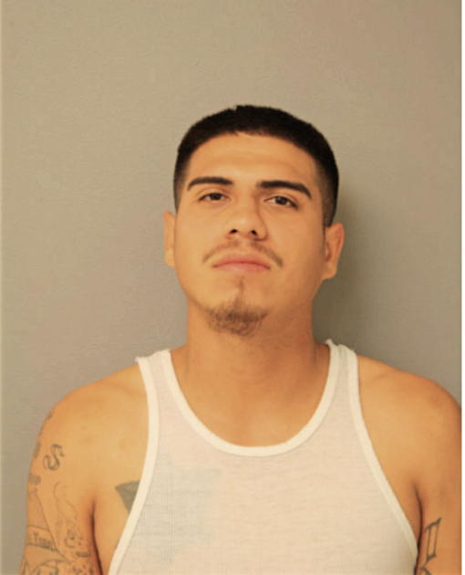 JESSE MANRIQUE, Cook County, Illinois