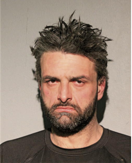 SLAVKO NISZVIC, Cook County, Illinois