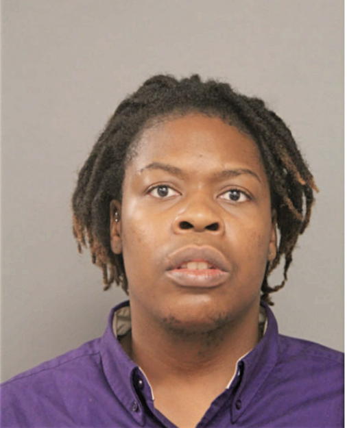 OLUWATOYIN A OGUNSOLA, Cook County, Illinois
